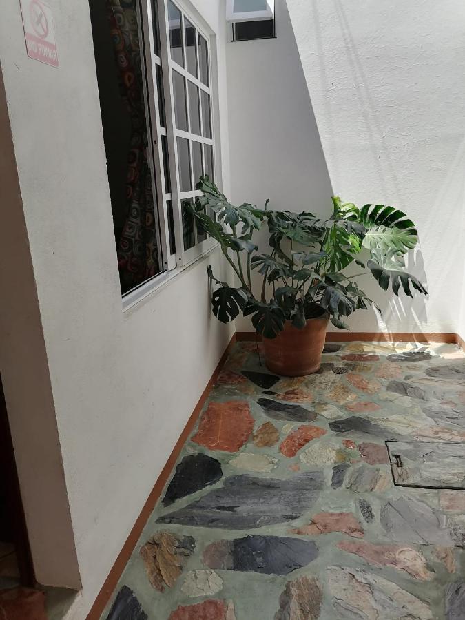 Casa Lomas Del Marinero Internet Starlink Sin Garaje Apartment Puerto Escondido  Luaran gambar